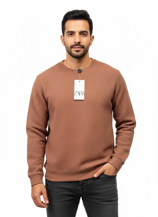 Zara SweatShirt Lined Brown
